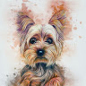 Meet your Posher, Diana